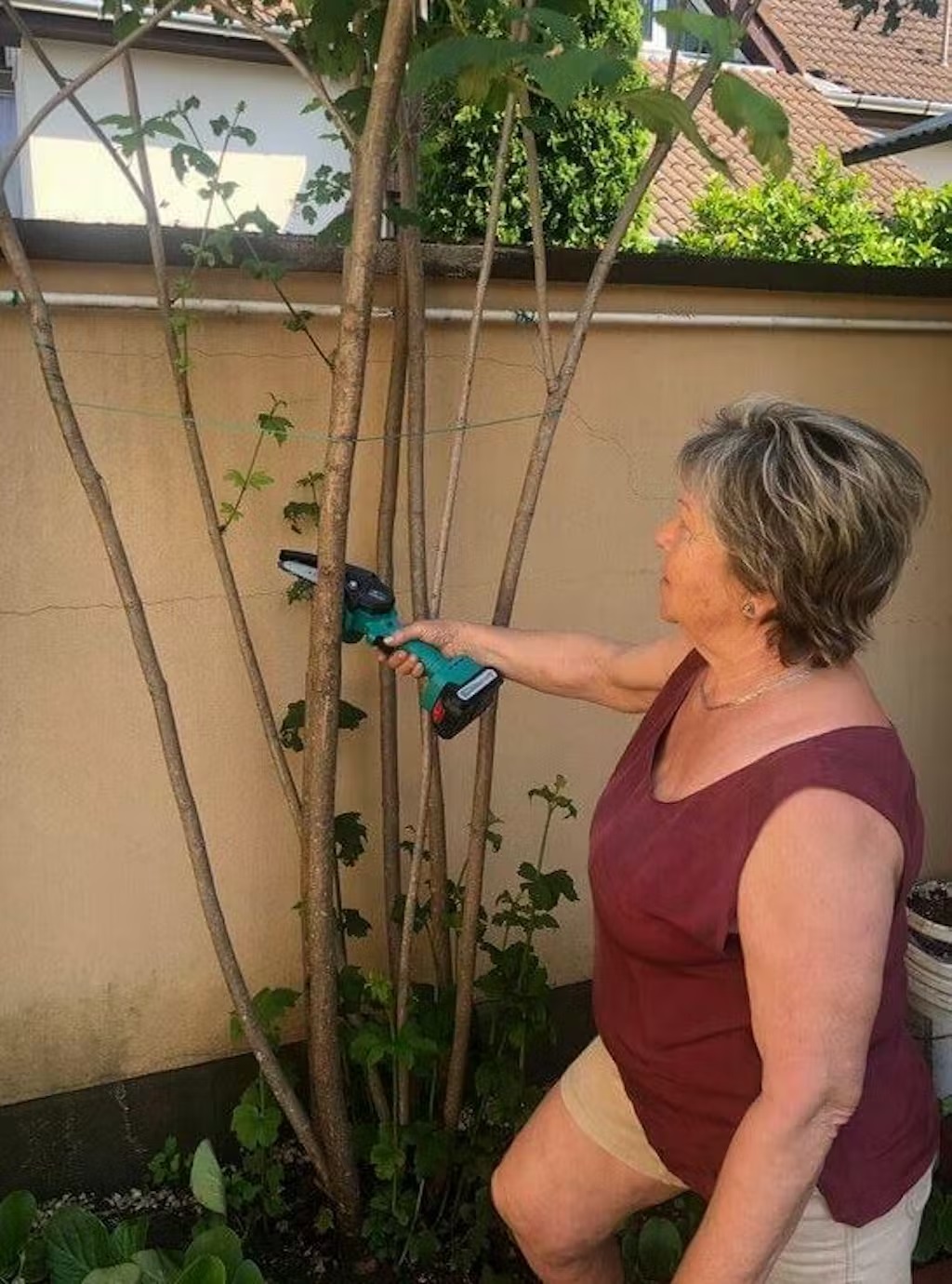 Zdjęcie piły od Adama